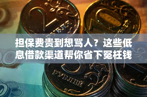 北京担保费贵到想骂人？这些低息借款渠道帮你省下冤枉钱