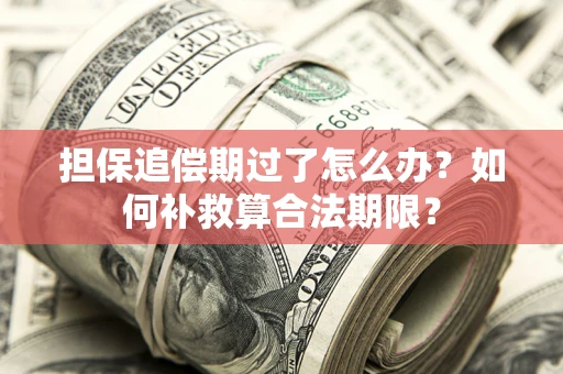 北京担保追偿期过了怎么办？如何补救算合法期限？